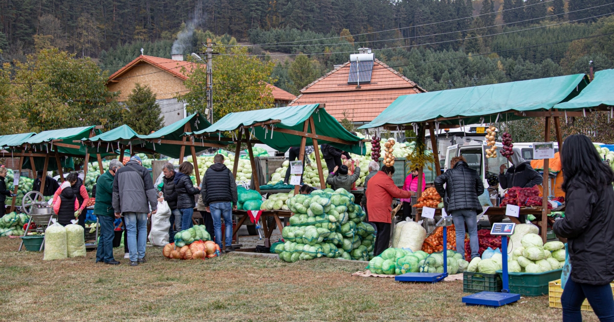 Több mint hétszázötvenezer kérelmet nyújtottak be