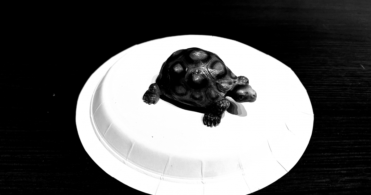 Márton Evelin: Solea Minor