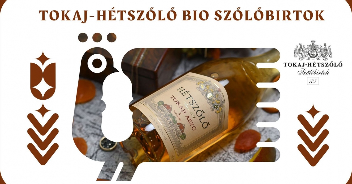 Borkóstoló a Zengő térben