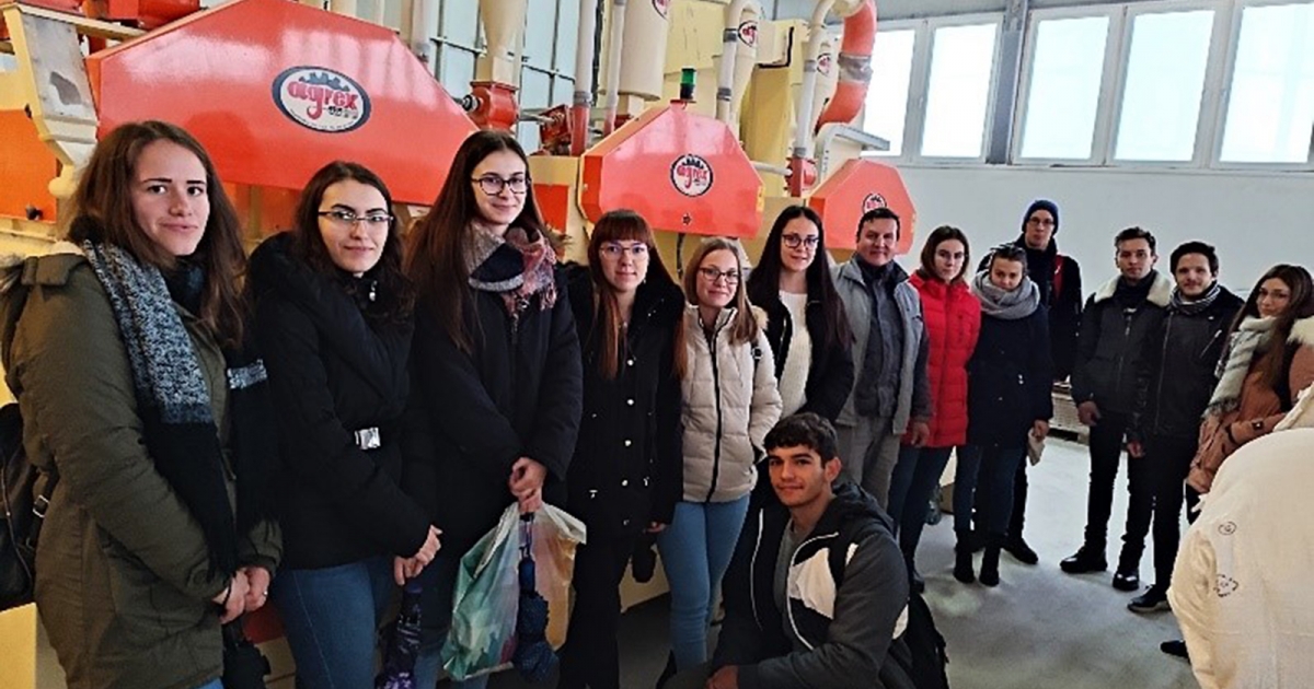 Tanulás tapasztalatból