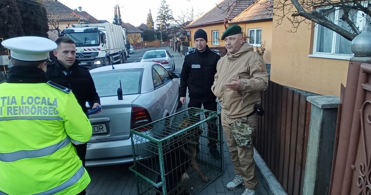 Elfogták a harapós németjuhászt