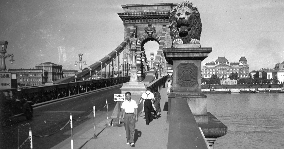 Az éneklő állatok királya