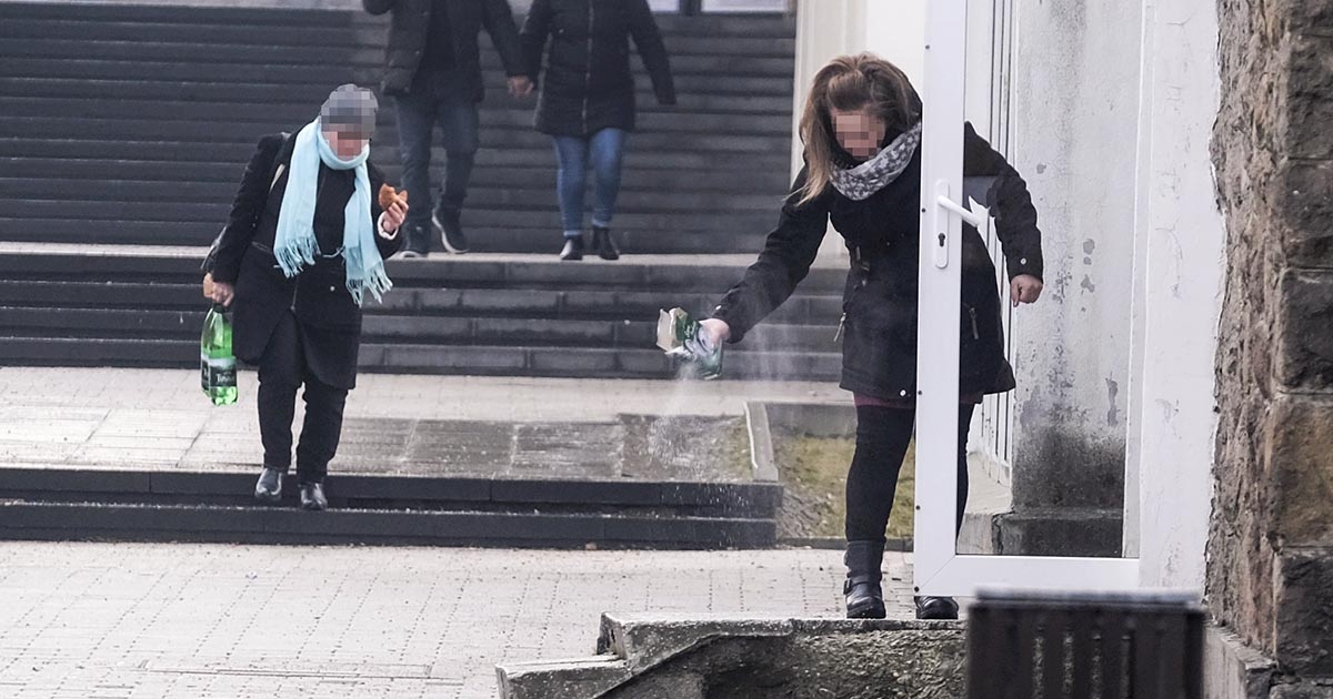 Hárman szorultak ápolásra Csíkszeredában