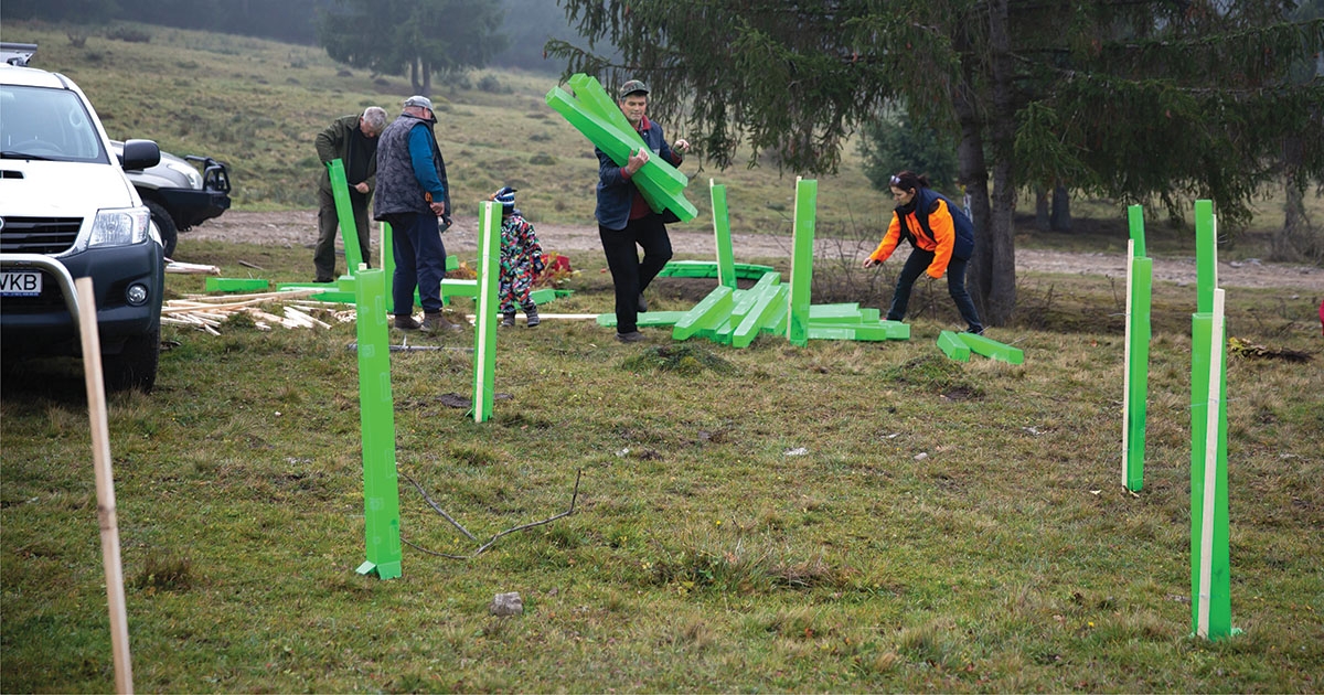 Erdőtelepítés oktatási céllal