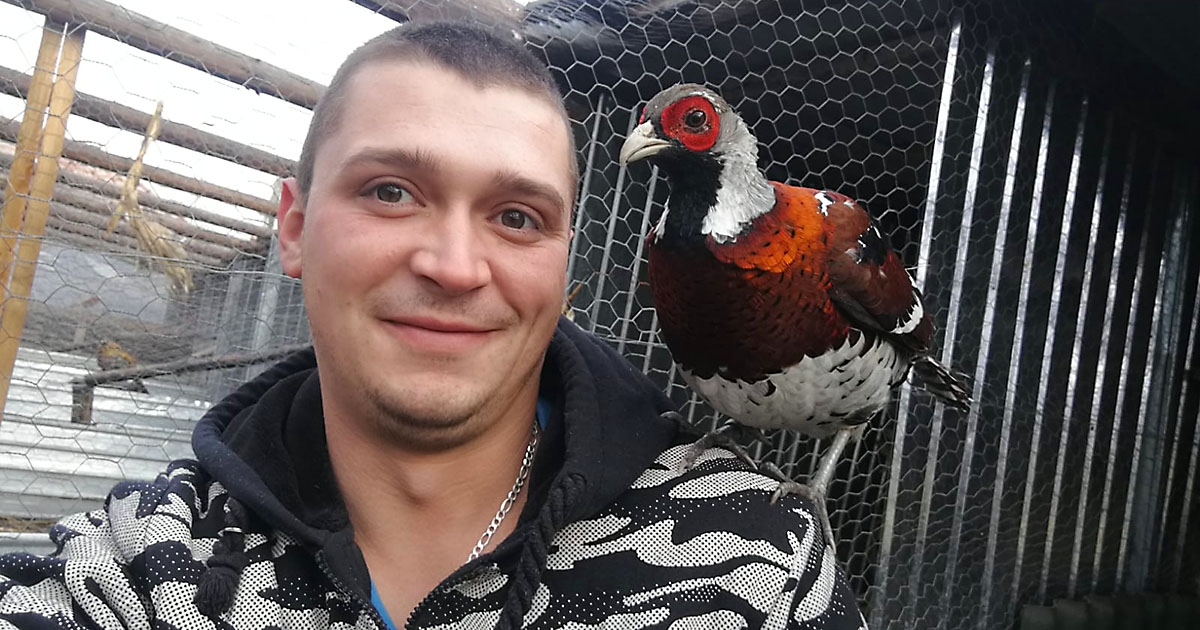 Emberélet madártávlatból