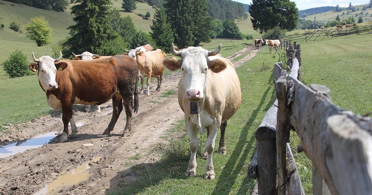 Új év, új támogatási rendszer