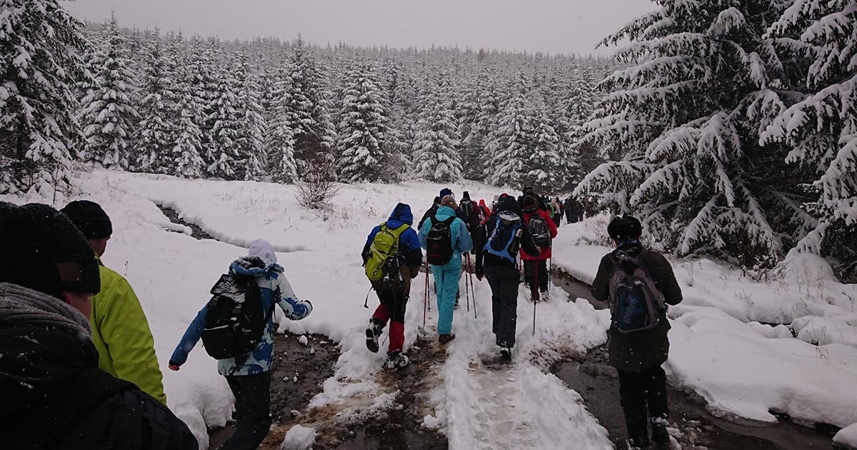 Tömegrendezvénnyé nőtte ki magát