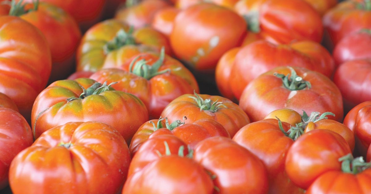 Miért ajánlott naponta paradicsomot fogyasztani? Csíkszeredai családorvos válaszol