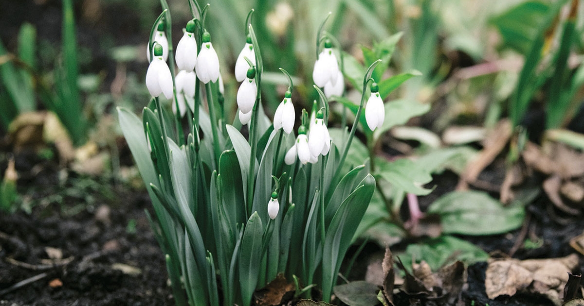 Legyen minden nap nőnap!