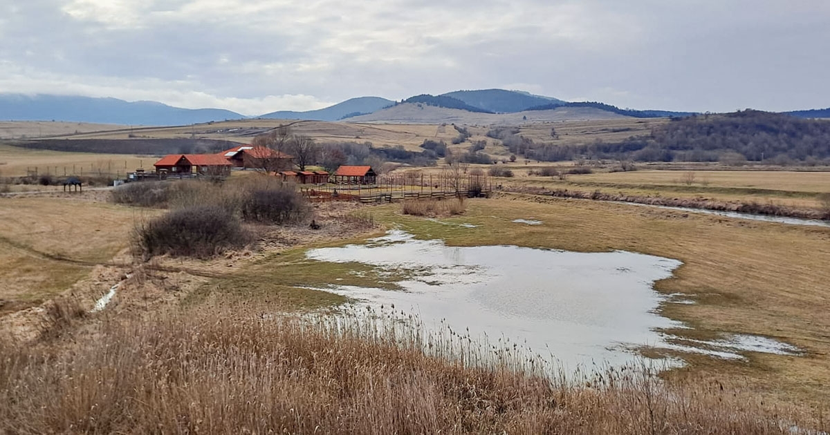 Vigyázz, kész, tavasz!