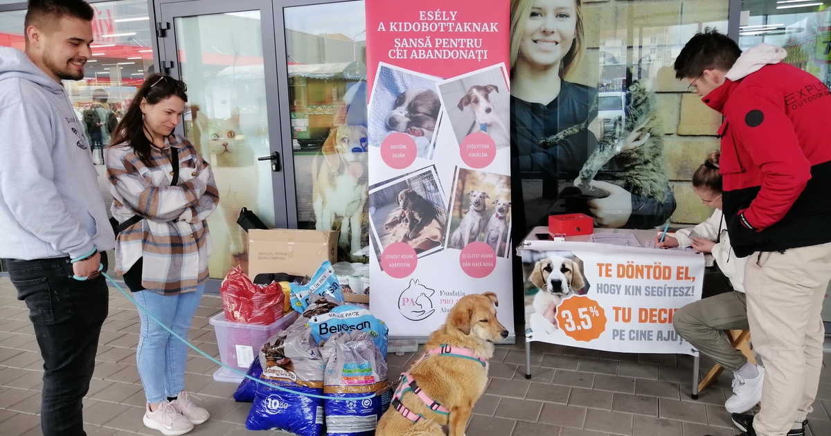 Minden kutya esélyt kap