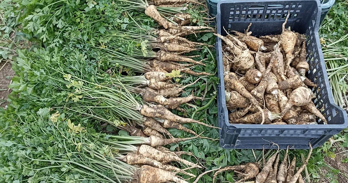 Egészséges életmódra nevelés a cél