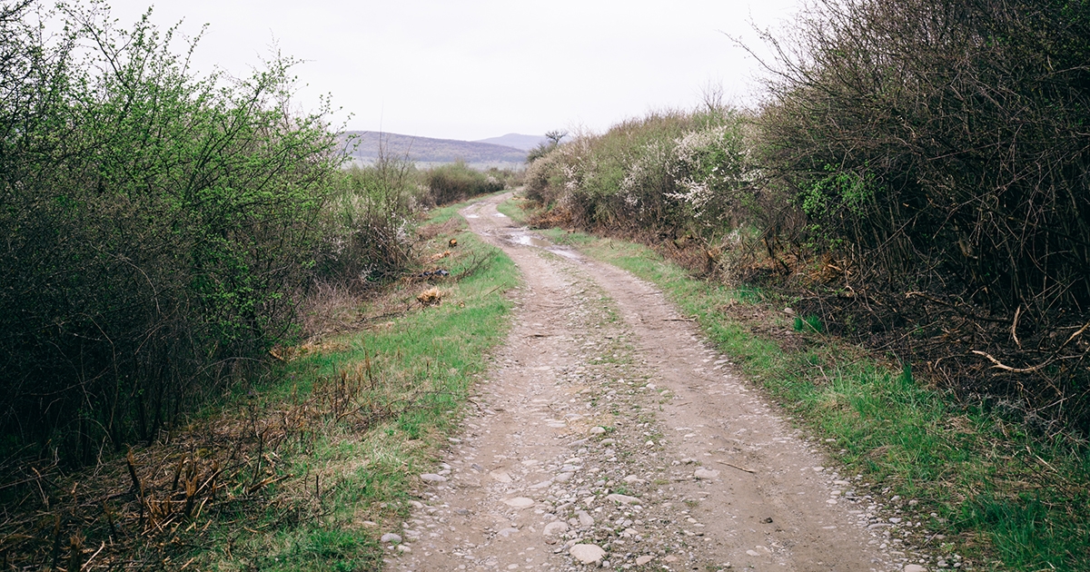Félúton a megoldás