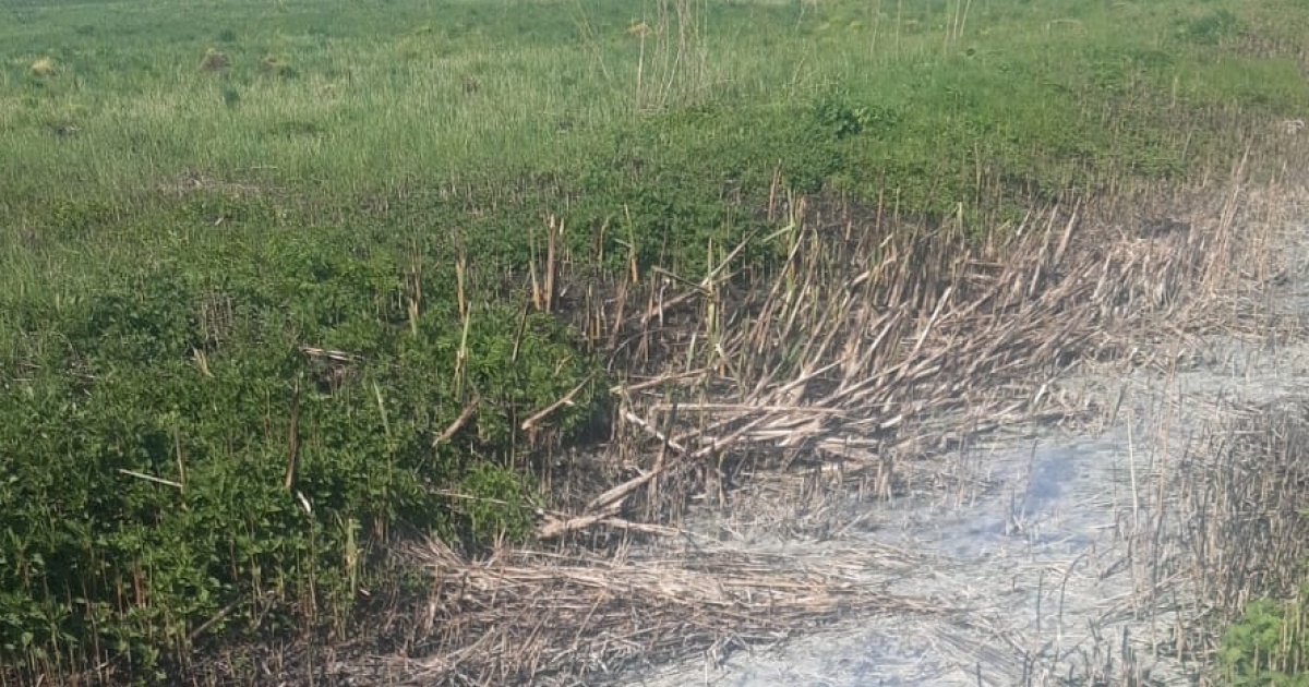 Környezetszennyezés Somotban