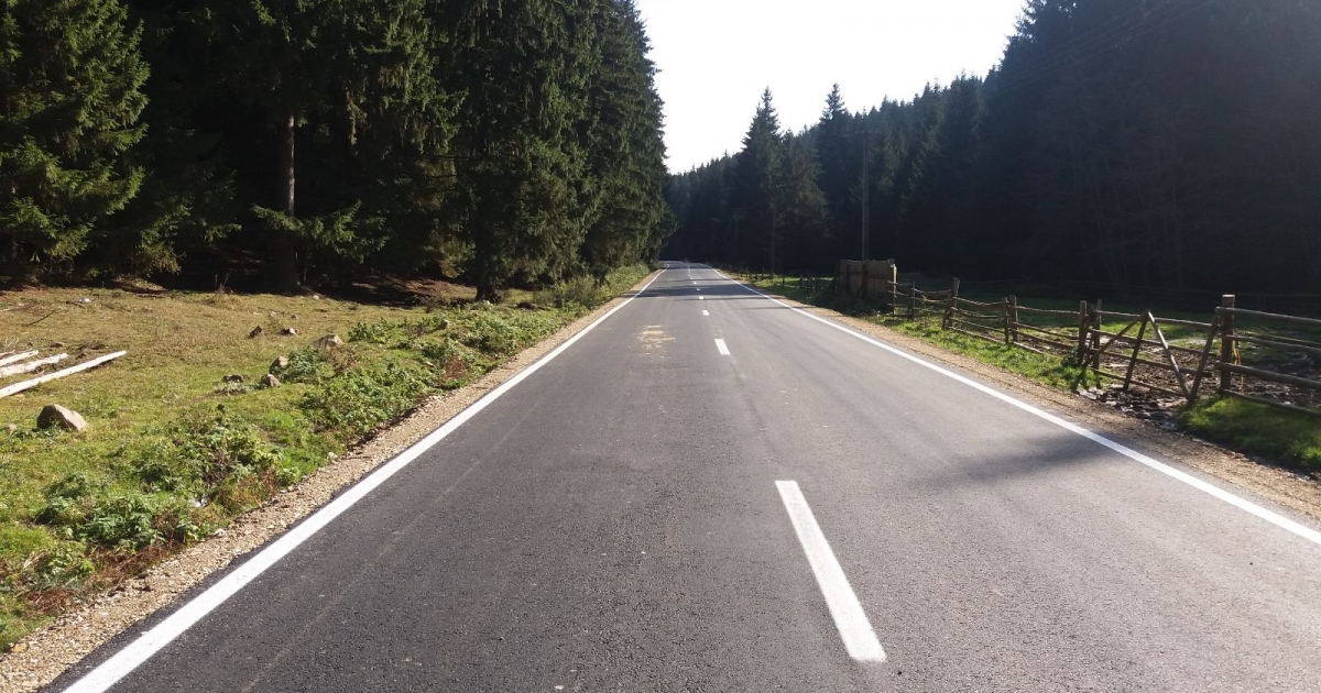 Elütött egy kutyát a motorkerékpár Mindszenten, két személy kórházba került