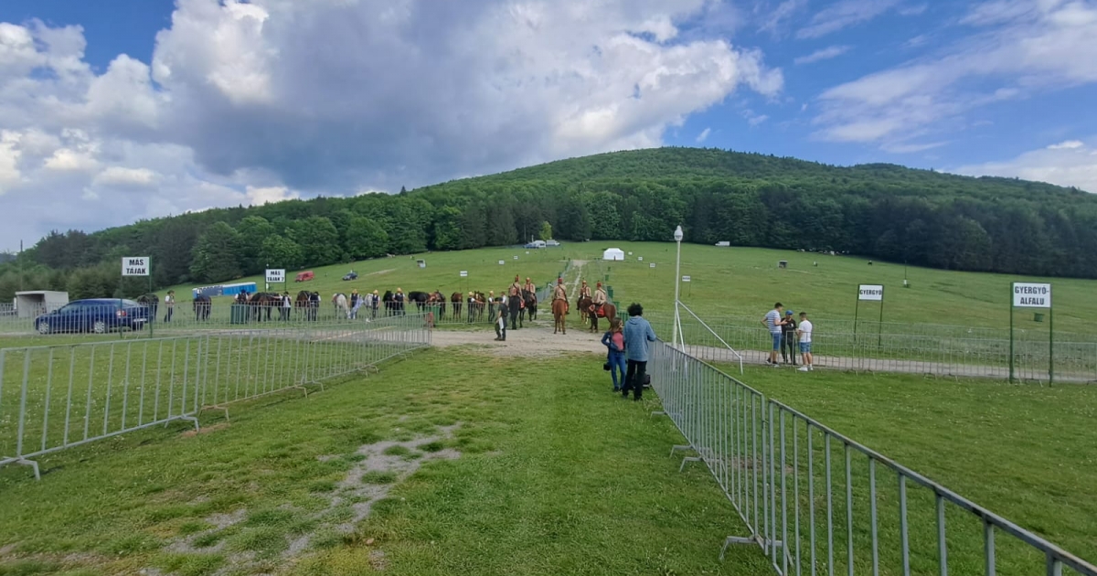Kétbocsos anyamedve miatt várakoztatták meg a nyeregbe érkezőket Csíksomlyón