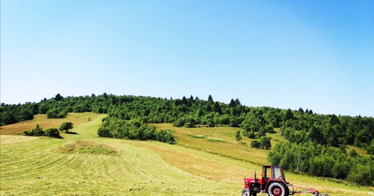 Elméleti és gyakorlati tudás ötvözete