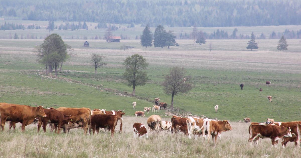 Május 31-ig van idejük a gazdáknak