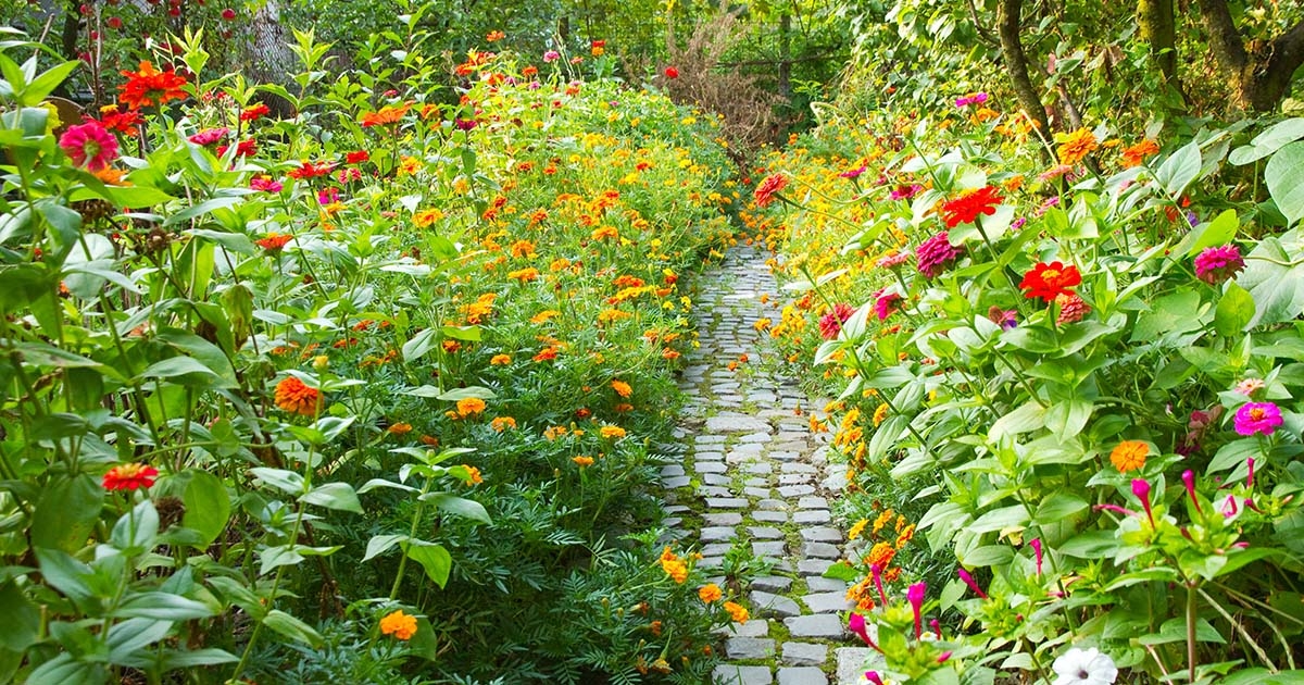 A virágzás időszaka