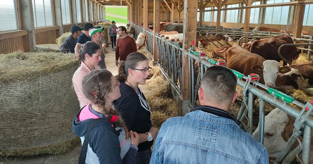Brüsszelből is látszanak a Hargita megyei eredmények