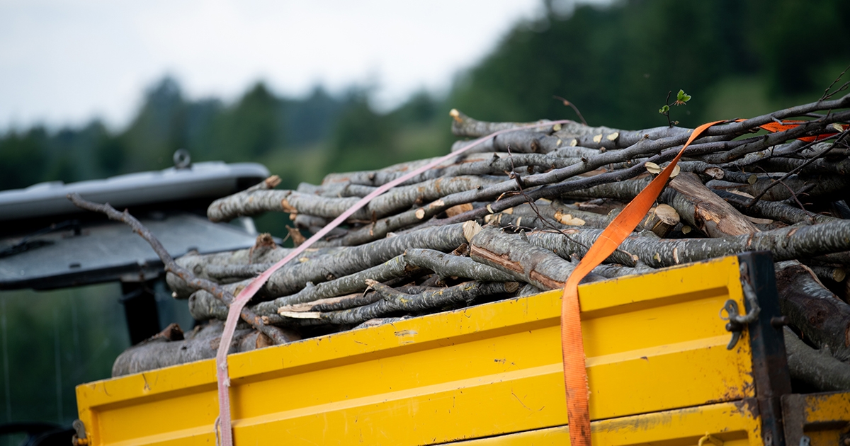 Forgalomba be nem íratott traktorral, jogosítvány nélkül szállította a fát, amelyre nem volt fuvarlevele