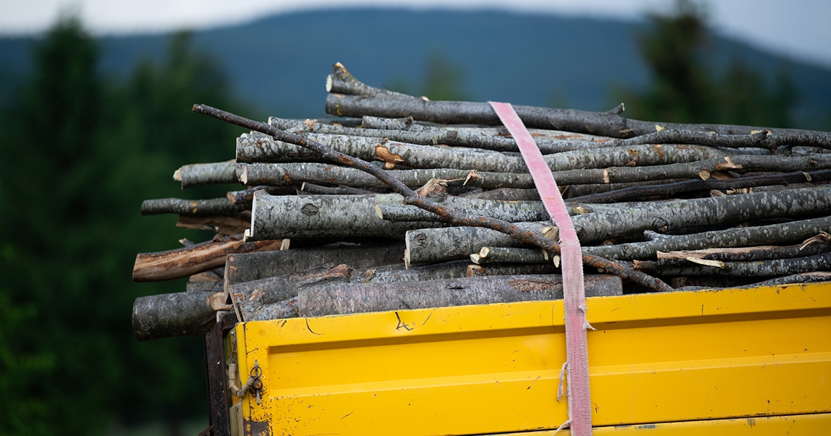 Falopás miatt riasztották a rendőröket a 112-n, le is foglaltak 25 köbméter tűzifát Felsősófalván