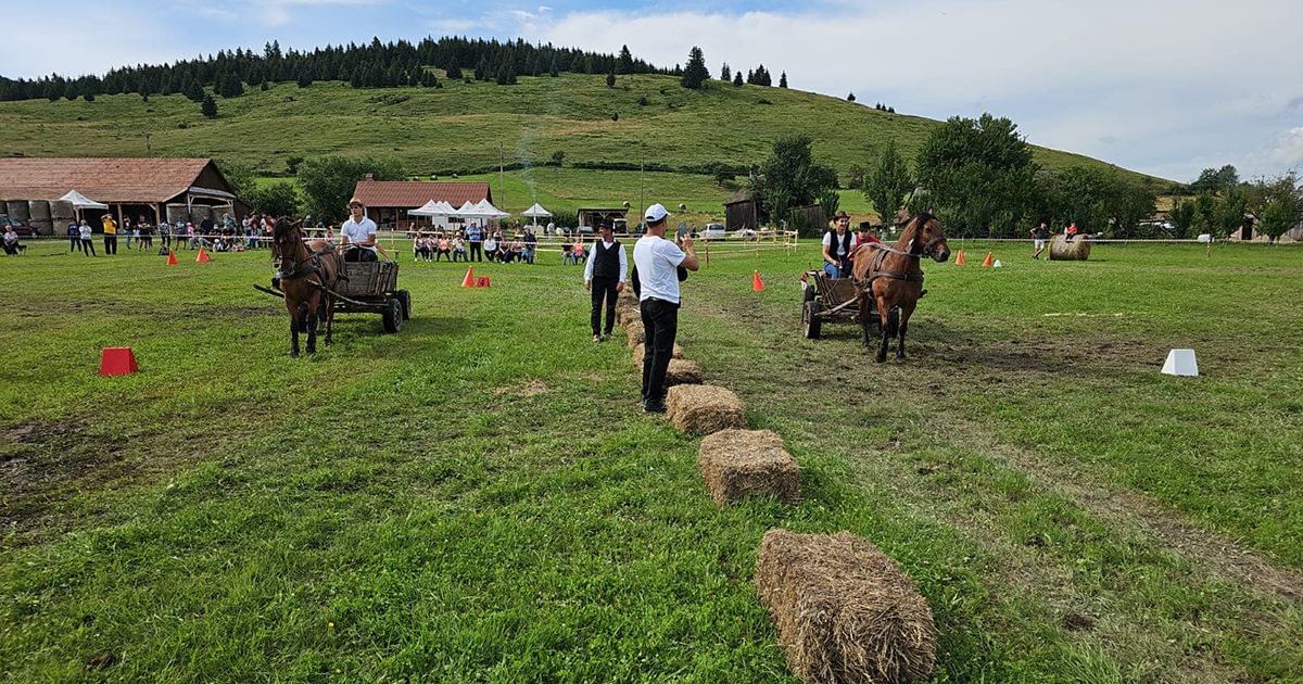 Szekeres ügyességi verseny