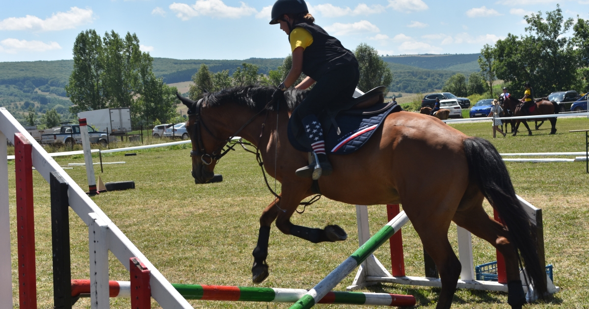 Ízelítő a lovassportok világából