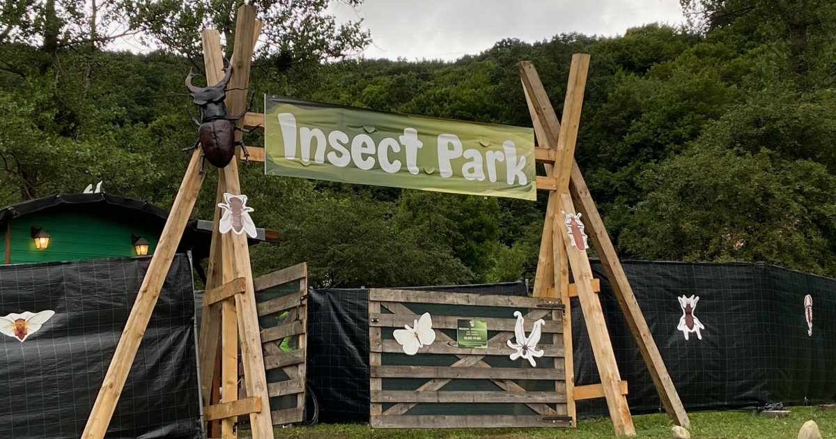 Új látványosság Székelyudvarhely szomszédságában