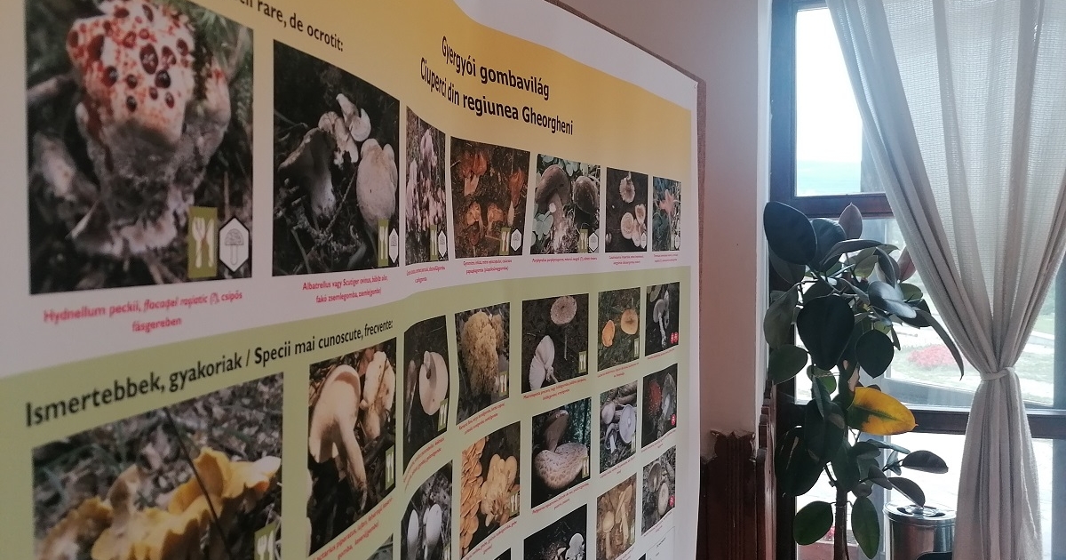 A vidék sajátosságait mutatják meg