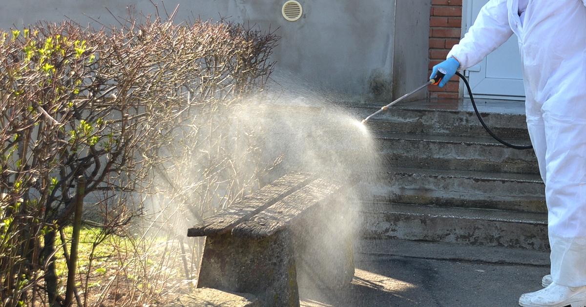 Rovarirtást végeznek Csíkszereda közterületein péntek este