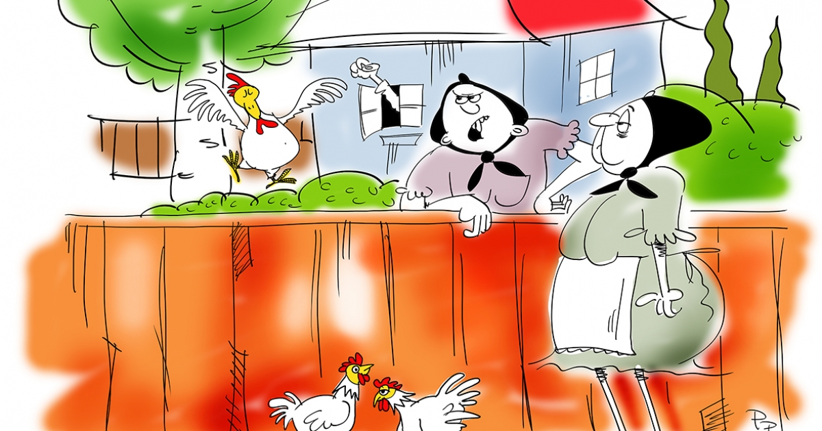 Para Pista pennája, Székely Csürke cubákja