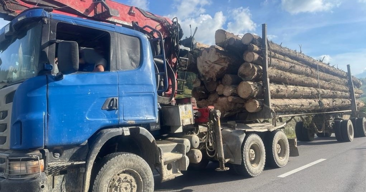 Harmincöt köbméter faanyagot koboztak el