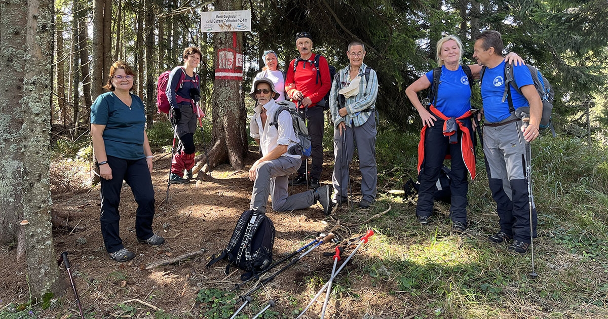 A Görgényi-havasok kőgombái
