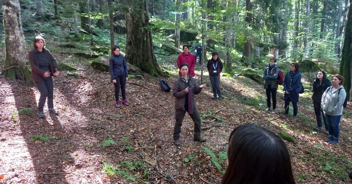 Tavasszal indulhat az Erdei Iskola Karaván