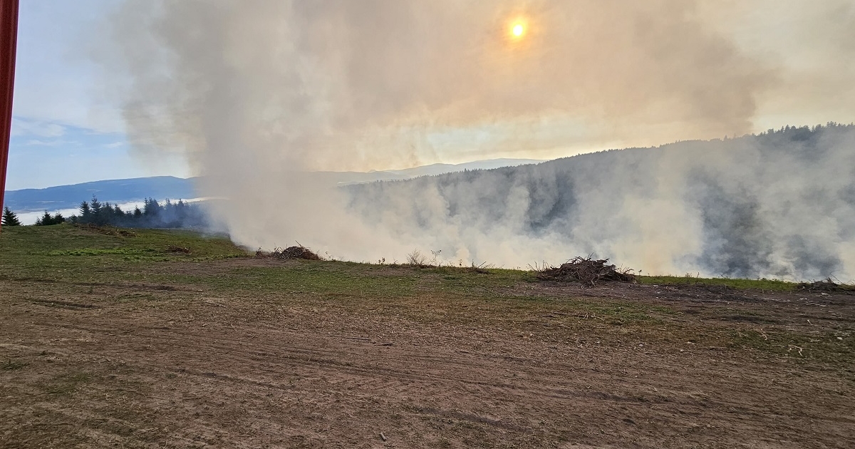 Száraz növényzet ég Maroshévízen