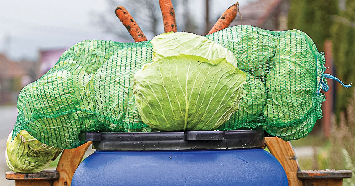 Kezdődhet a savanyítás