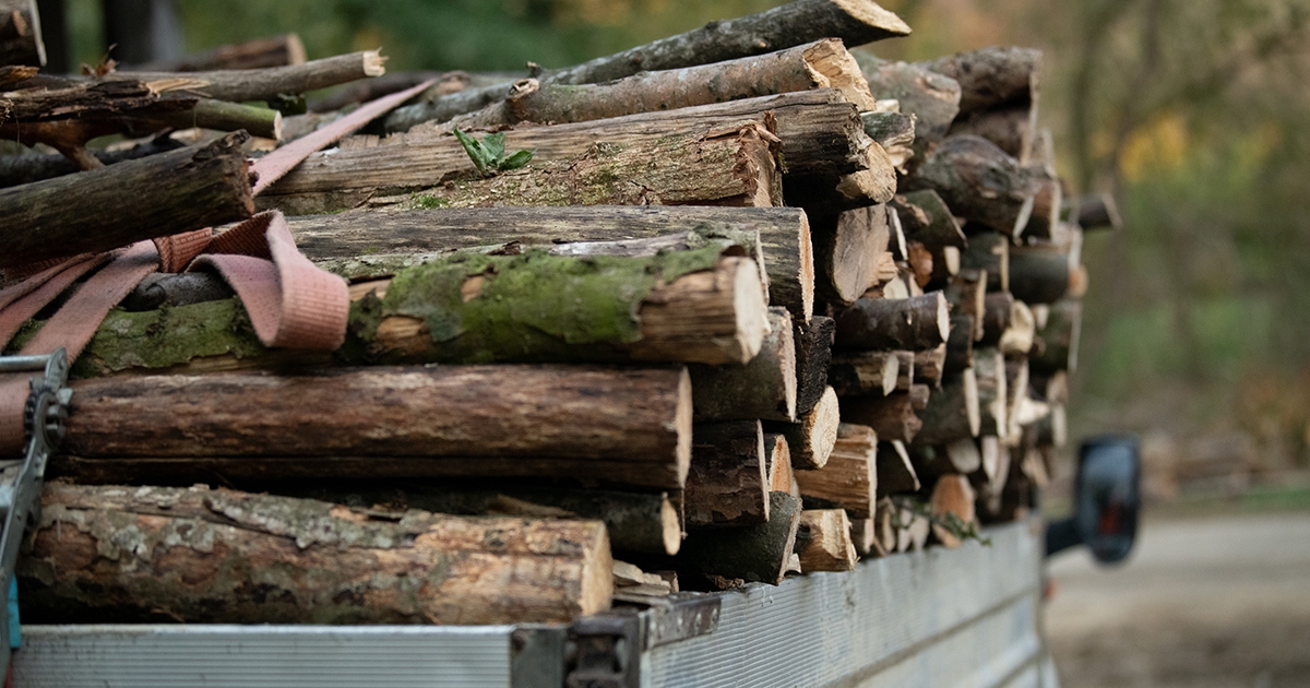 Fuvarlevél nélkül szállították a fát, háromezer lejre bírságolták őket