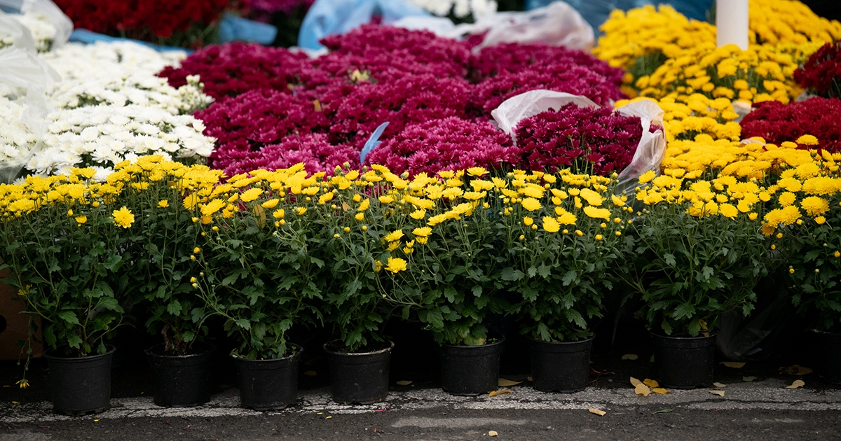 Illő megemlékezés vagy anyagi teher