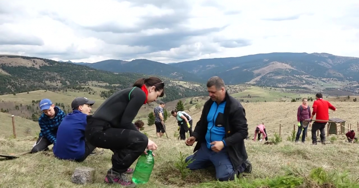 Kalákában pótolják a csemetéket