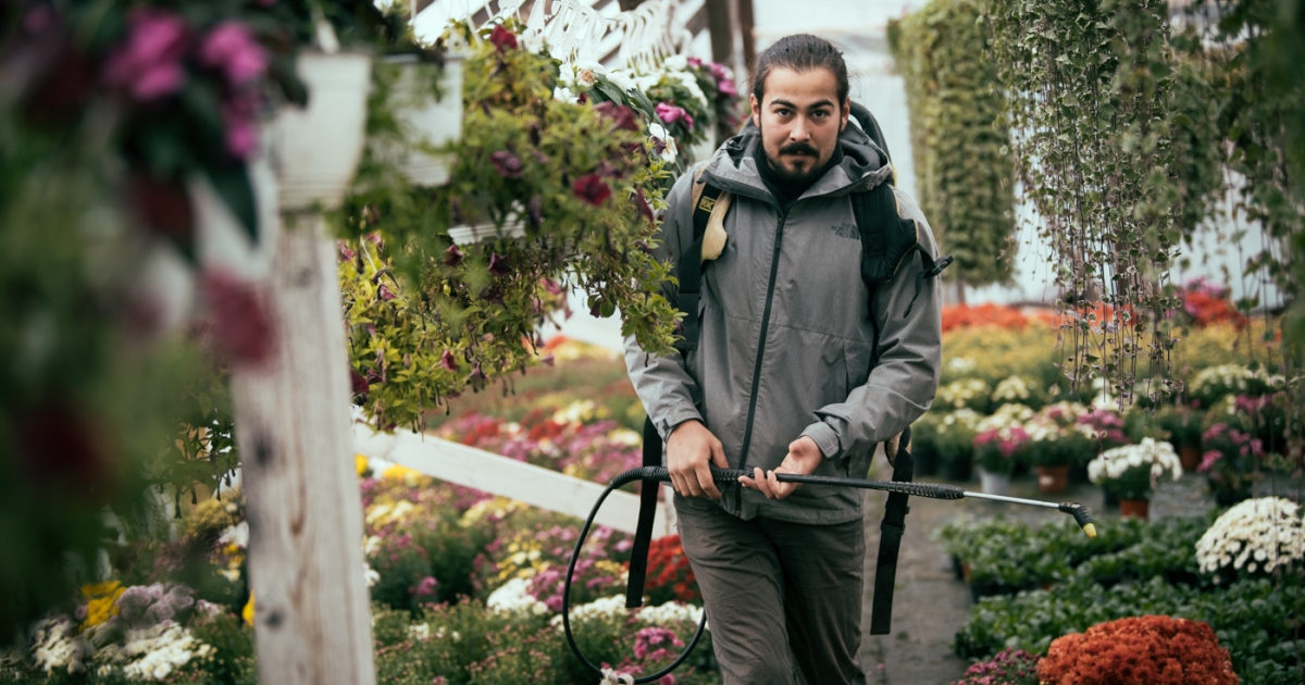 Élet a szirmok között