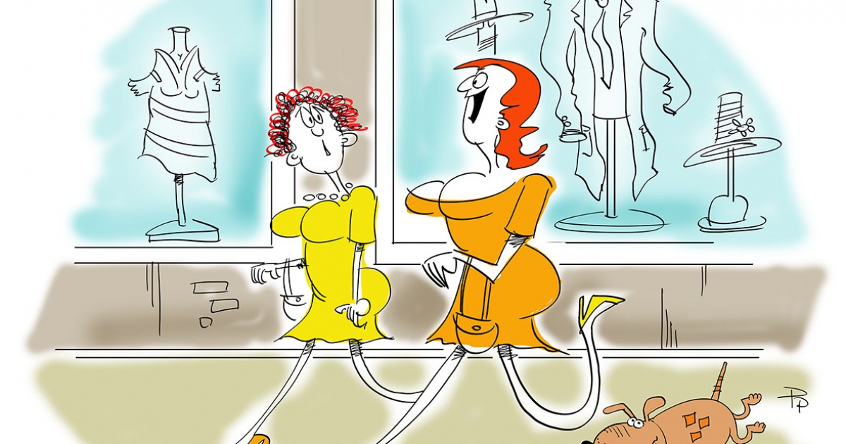 Para Pista pennája, Székely Csürke cubákja