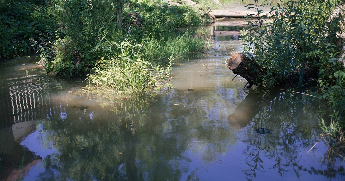 Figyelmeztetést kapott az UTCA, a Mini Erdély Parknál nem észleltek kihágást