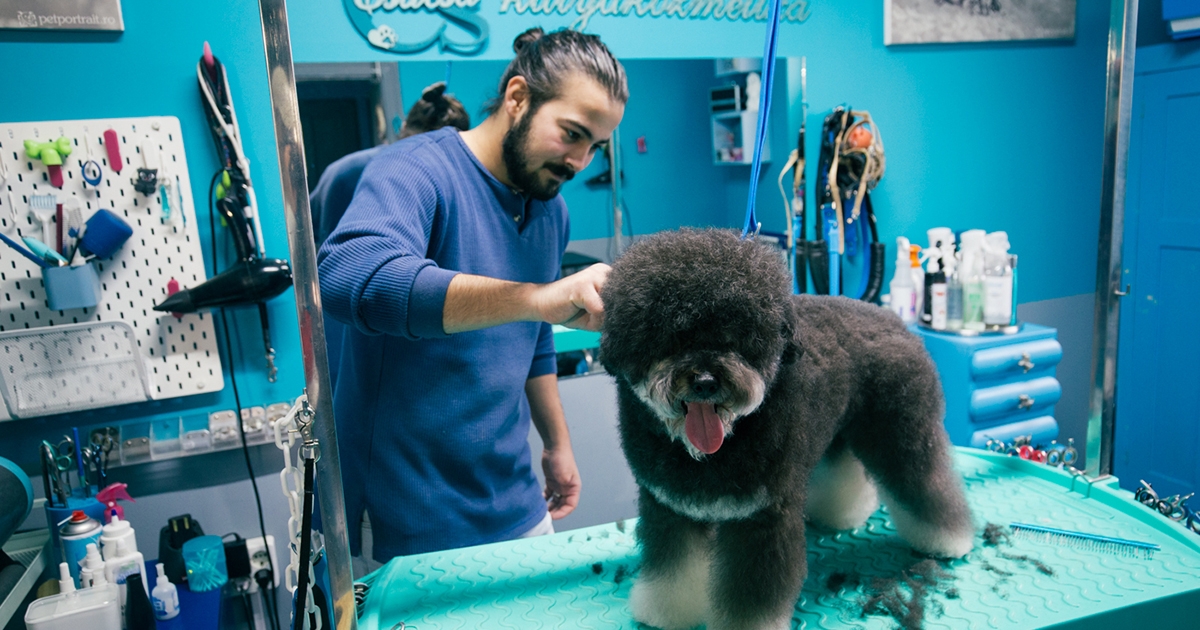 Bubi esete az újságíróval