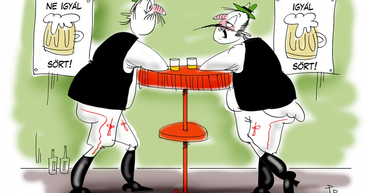 Székely Csürke nem vén tyúk, Para Pista a sztárunk!