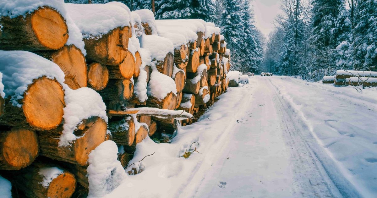 Kidőlt fák akadályozták a forgalmat a Parajd és Gyergyószentmiklós közötti országútszakaszon