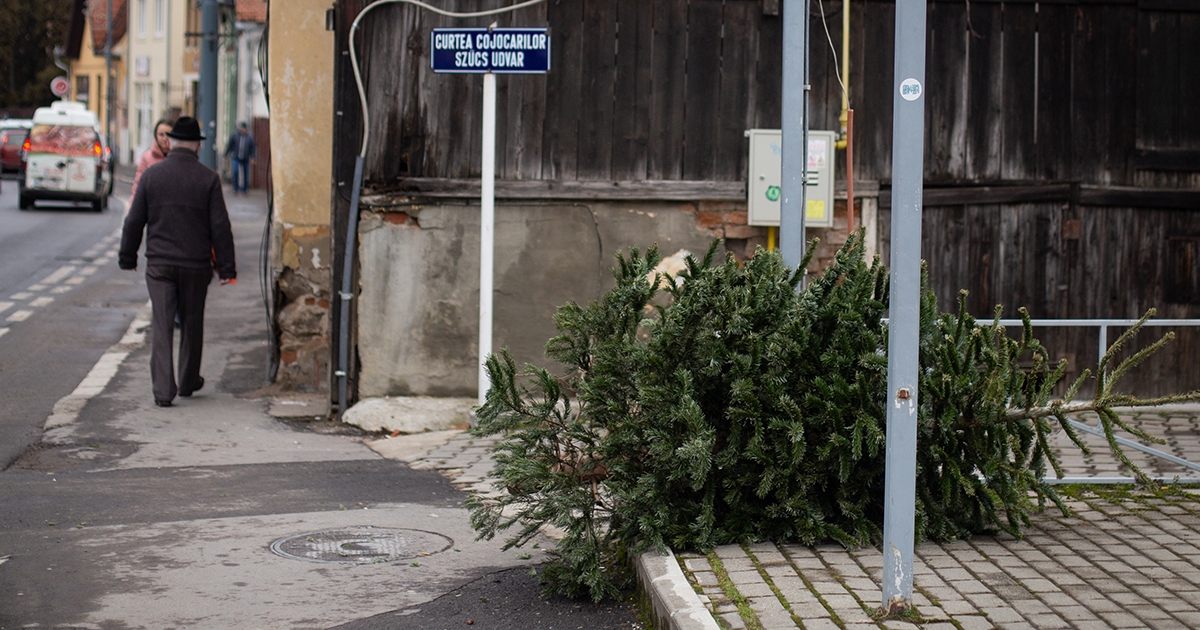 Dísz nélkül is melenget