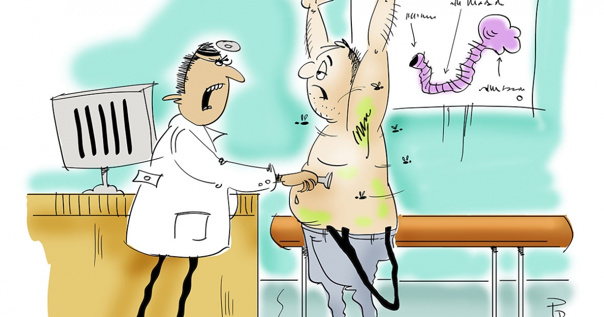 Székely Csürke nem vén tyúk, Para Pista a sztárunk!