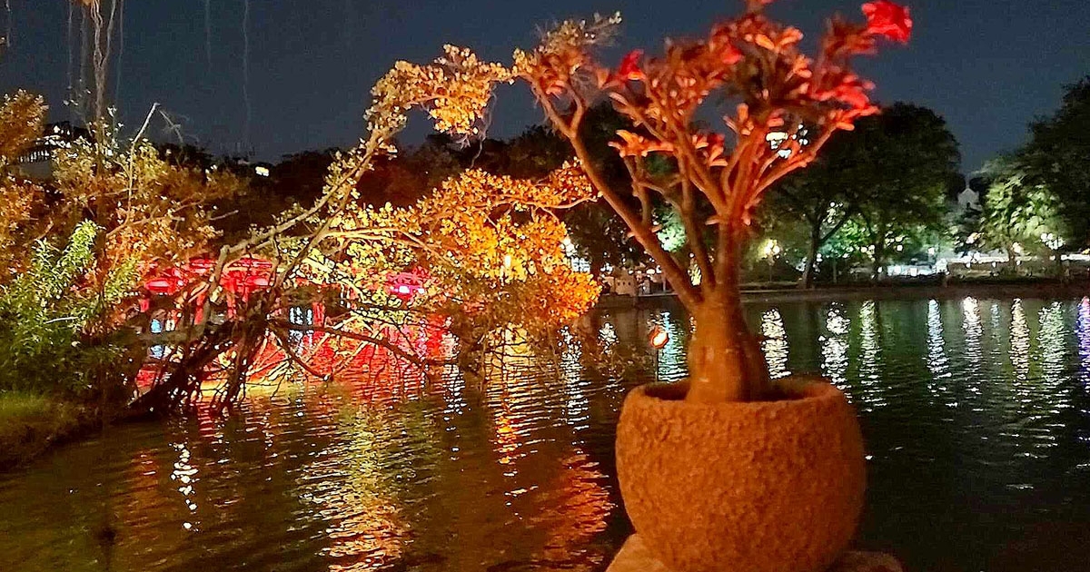 A szépség és a nyugalom oázisa