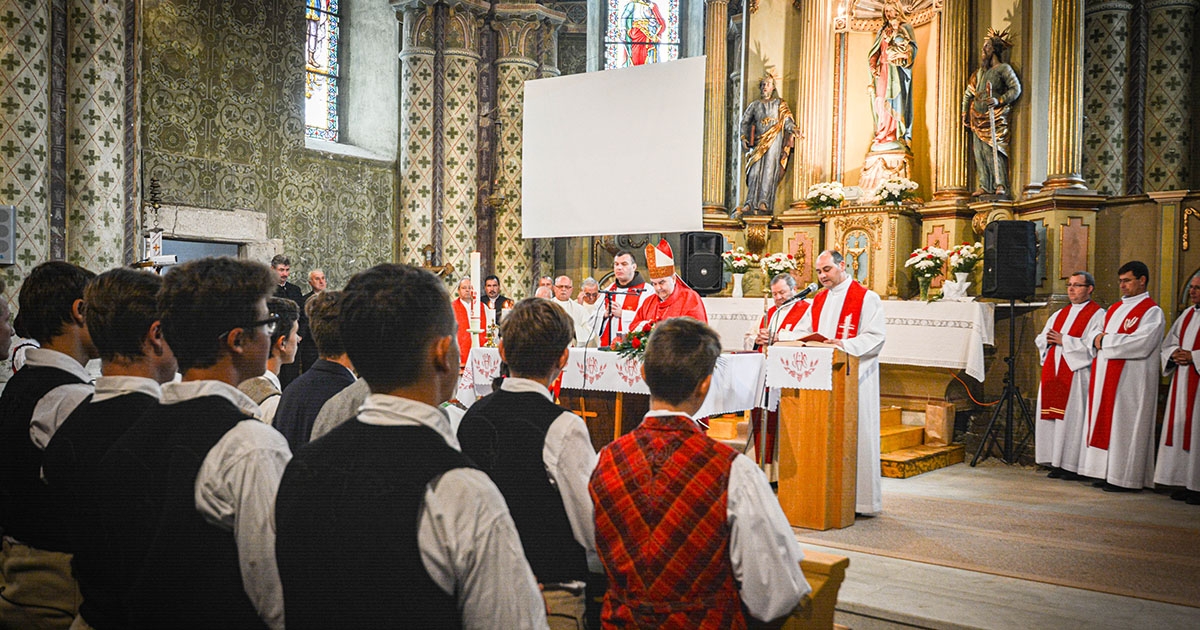 Margit libái vezetéknek szállnak